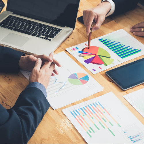 business overview